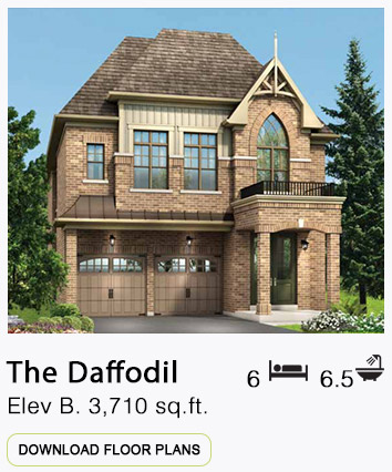 The Daffodil Elevation B Floor Plans