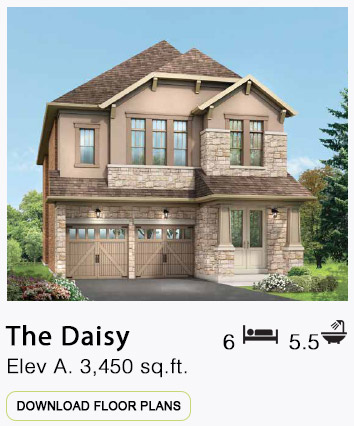 The Daisy Elevation A Floor Plans