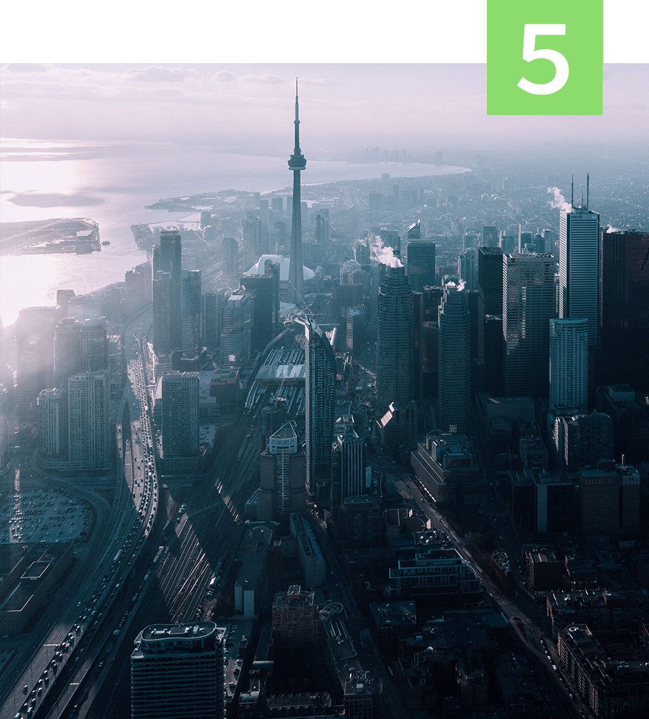 Newsletter 5